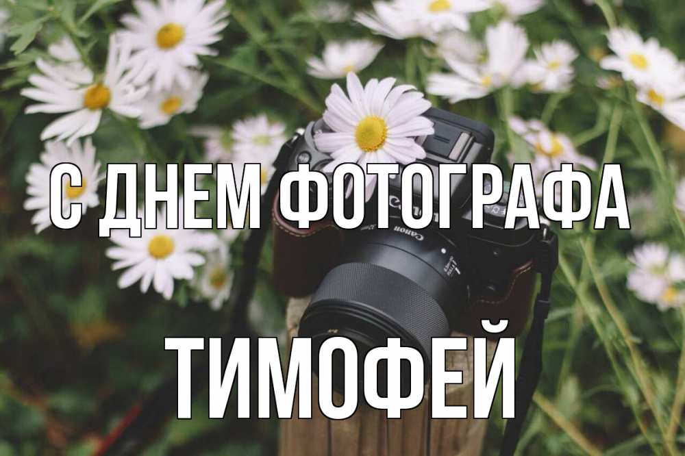Открытка на каждый день с именем, Тимофей С днем фотографа с днем фотографа Прикольная открытка с пожеланием онлайн скачать бесплатно 
