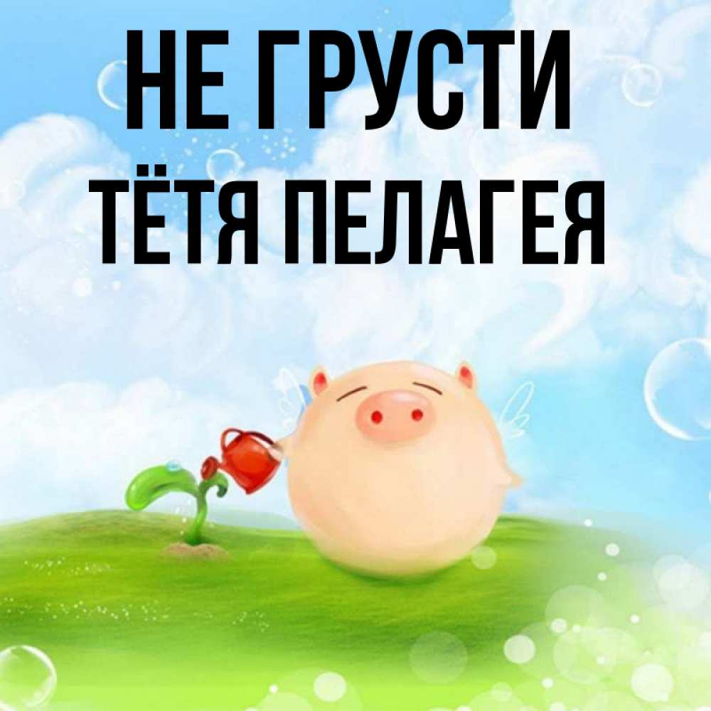 Открытка на каждый день с именем, Тётя-Пелагея Не грусти поливает цветок порося Прикольная открытка с пожеланием онлайн скачать бесплатно 