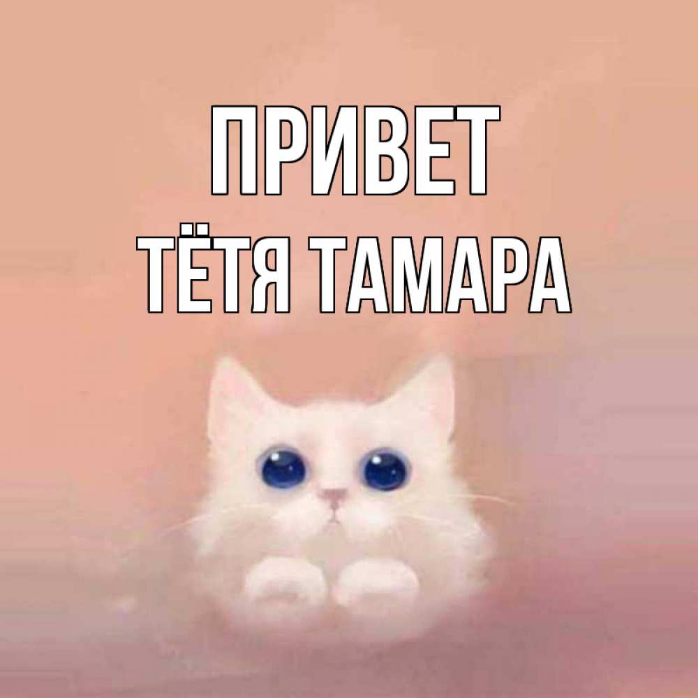 Открытка на каждый день с именем, Тётя-Тамара Привет котик белый в полете Прикольная открытка с пожеланием онлайн скачать бесплатно 