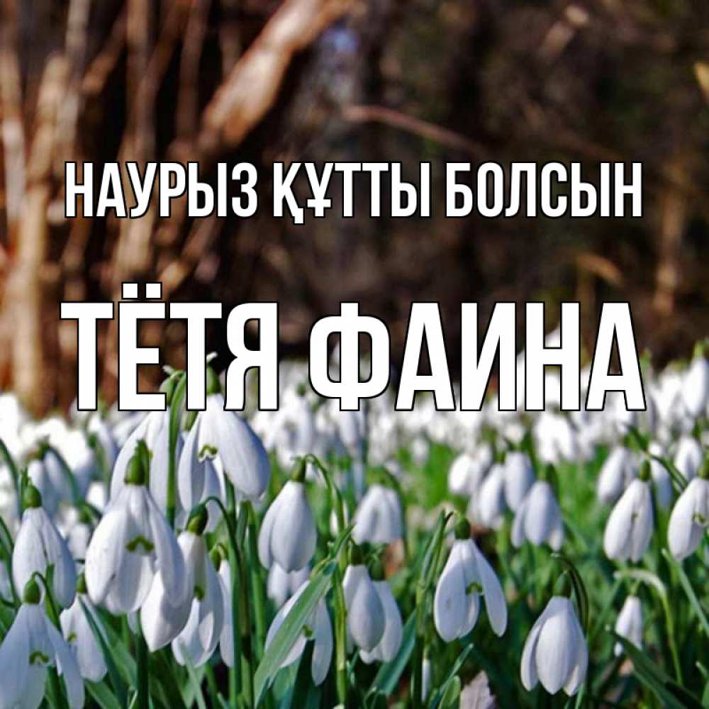 Открытка на каждый день с именем, Тётя-Фаина Наурыз құтты болсын с подснежниками 1 Прикольная открытка с пожеланием онлайн скачать бесплатно 