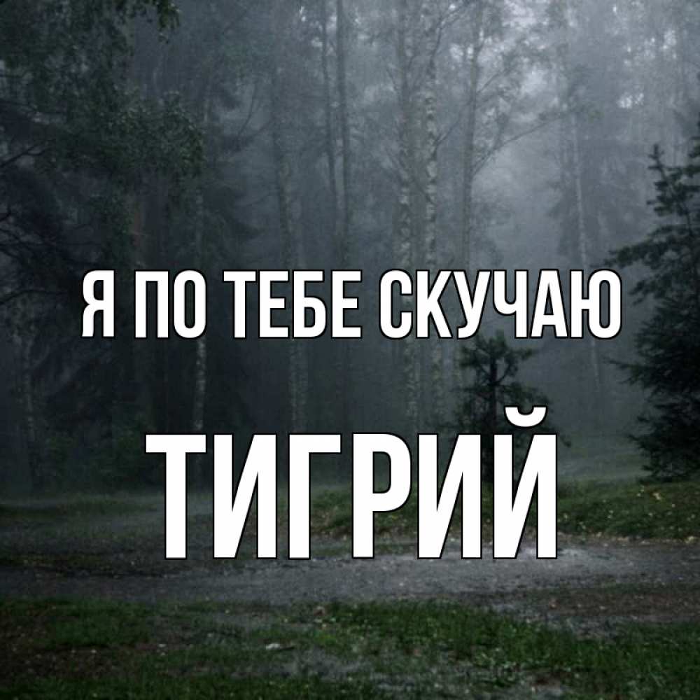 Открытка на каждый день с именем, Тигрий Я по тебе скучаю одна и плохо мне Прикольная открытка с пожеланием онлайн скачать бесплатно 