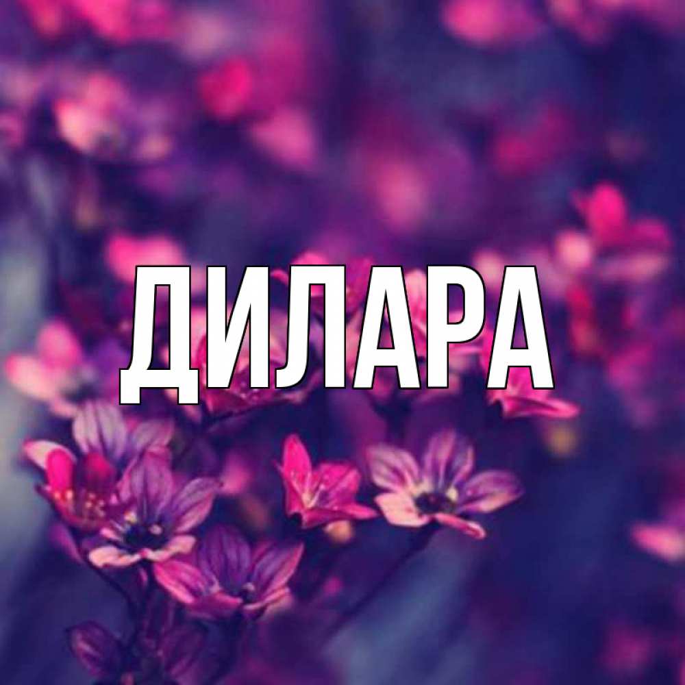 Открытка на каждый день с именем, Дилара Главная небольшие цветы 1 Прикольная открытка с пожеланием онлайн скачать бесплатно 