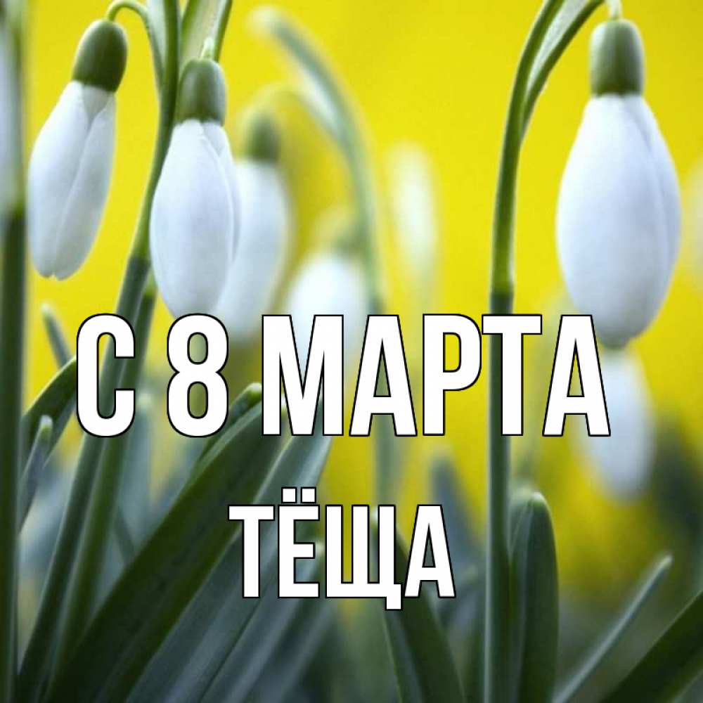 Картинка С 8 МАРТА, Тёща