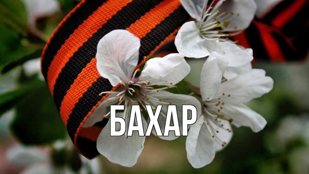 Открытка на каждый день с именем, Бахар Главная 23 февраля Прикольная открытка с пожеланием онлайн скачать бесплатно 