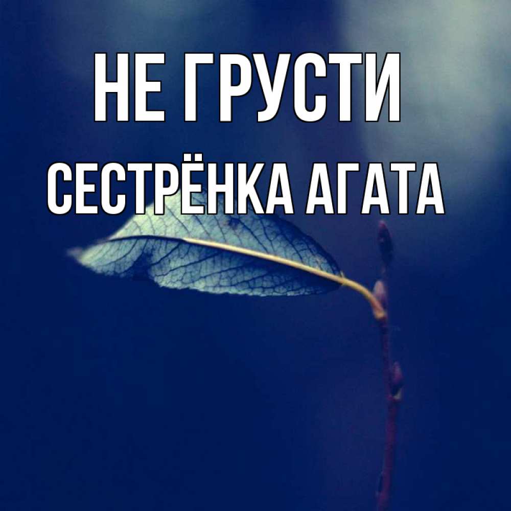 Открытка на каждый день с именем, Сестрёнка-Агата Не грусти растение Прикольная открытка с пожеланием онлайн скачать бесплатно 