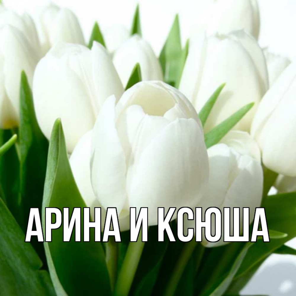 Открытка на каждый день с именем, Арина-и-Ксюша Главная цветы Прикольная открытка с пожеланием онлайн скачать бесплатно 