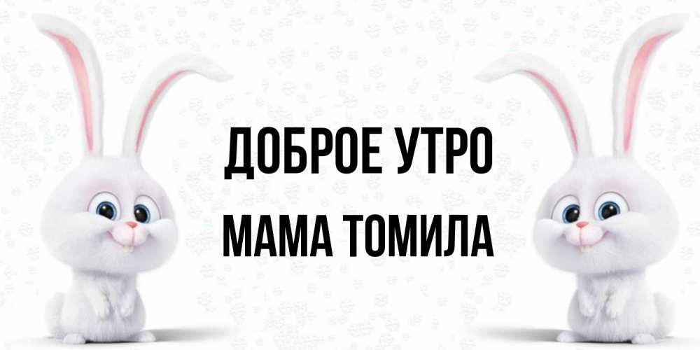 Открытка на каждый день с именем, Мама-Томила Доброе утро кролики с длинными ушками Прикольная открытка с пожеланием онлайн скачать бесплатно 