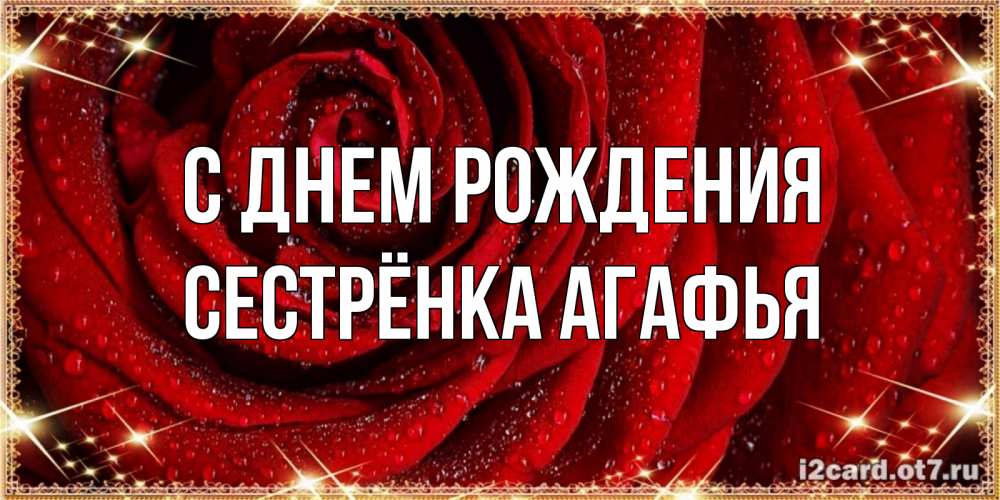 Открытка на каждый день с именем, Сестрёнка-Агафья С днем рождения роса на розе блестящая в лучах солнца Прикольная открытка с пожеланием онлайн скачать бесплатно 