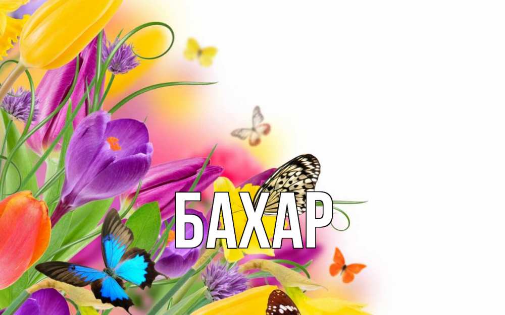 Картинка  с именем , Бахар