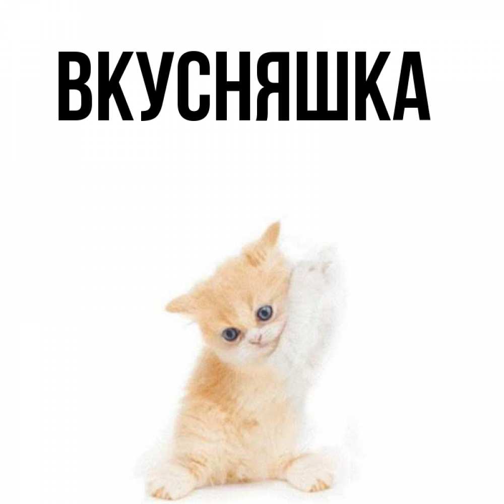 Открытка на каждый день с именем, Вкусняшка Главная просящий кот Прикольная открытка с пожеланием онлайн скачать бесплатно 