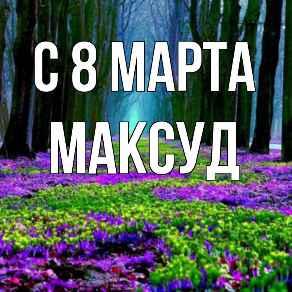Открытка на каждый день с именем, Максуд С 8 МАРТА фиолетовые цветы в лесу 1 Прикольная открытка с пожеланием онлайн скачать бесплатно 