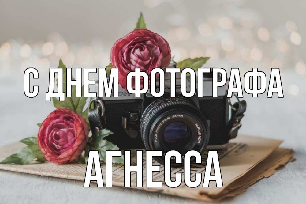 Открытка на каждый день с именем, Агнесса С днем фотографа с днем фотографа Прикольная открытка с пожеланием онлайн скачать бесплатно 