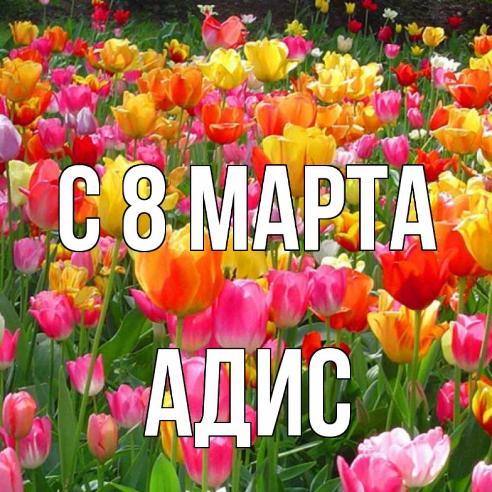 Открытка на каждый день с именем, Адис С 8 МАРТА на международный женский день Прикольная открытка с пожеланием онлайн скачать бесплатно 