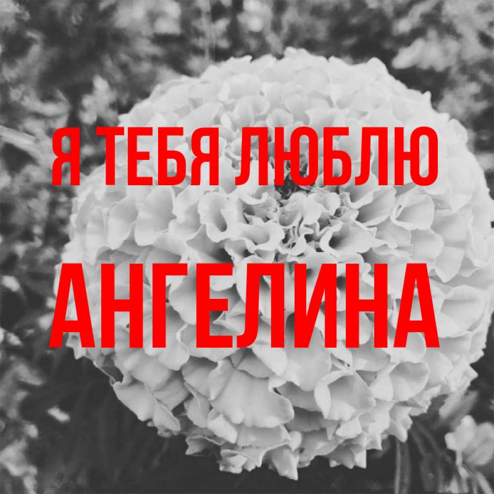 Открытка на каждый день с именем, Ангелина Я тебя люблю подпись Прикольная открытка с пожеланием онлайн скачать бесплатно 