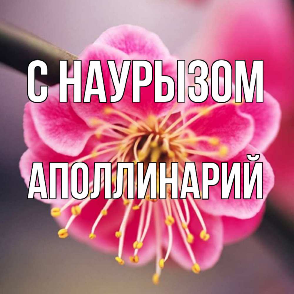 Открытка на каждый день с именем, Аполлинарий С наурызом цветы Прикольная открытка с пожеланием онлайн скачать бесплатно 