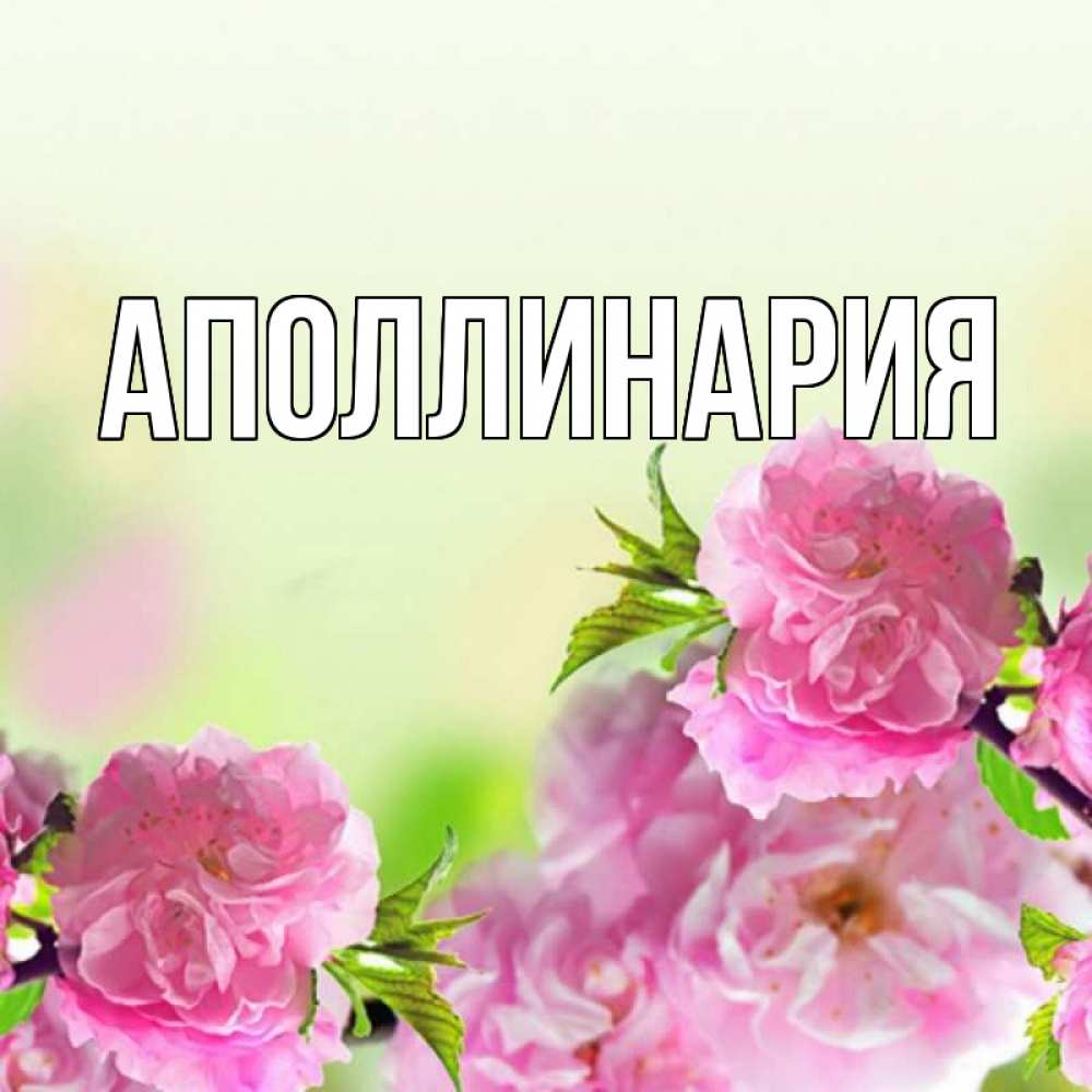 Открытка на каждый день с именем, Аполлинария Главная цветы Прикольная открытка с пожеланием онлайн скачать бесплатно 