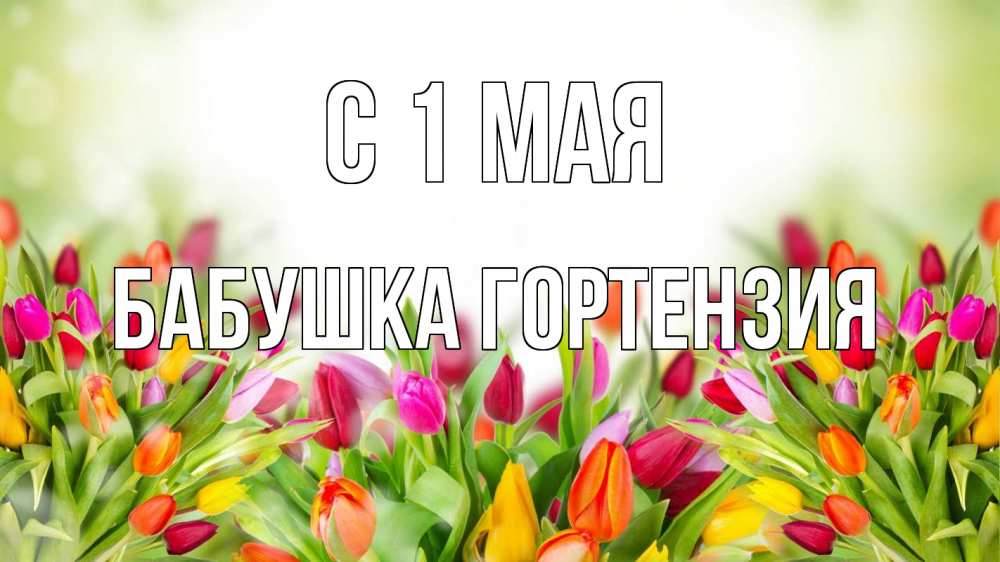 Открытка на каждый день с именем, Бабушка-Гортензия С 1 мая С 1 мая Прикольная открытка с пожеланием онлайн скачать бесплатно 