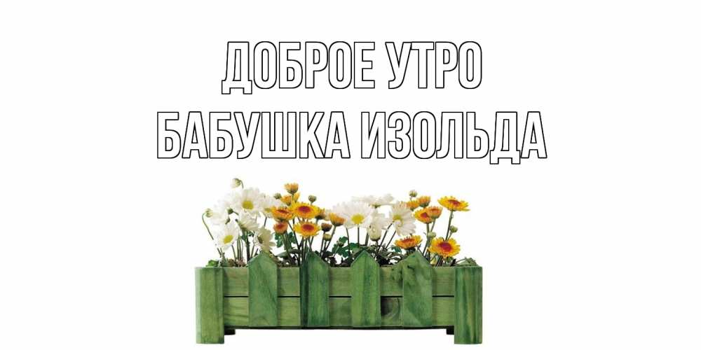 Открытка на каждый день с именем, Бабушка-Изольда Доброе утро цветы Прикольная открытка с пожеланием онлайн скачать бесплатно 