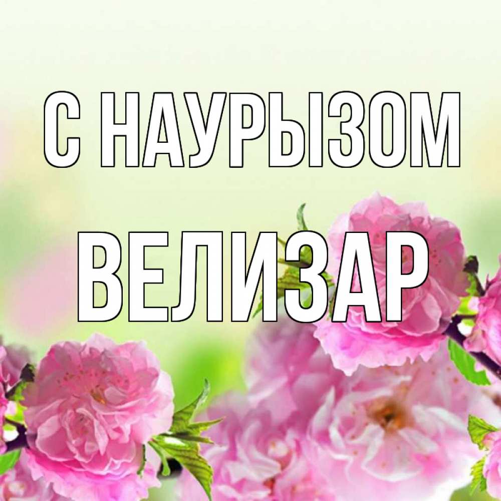 Открытка на каждый день с именем, Велизар С наурызом цветы Прикольная открытка с пожеланием онлайн скачать бесплатно 