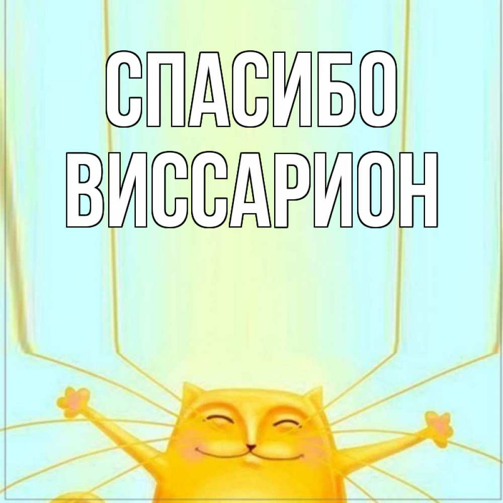 Открытка на каждый день с именем, Виссарион Спасибо кот с усами благодарит Прикольная открытка с пожеланием онлайн скачать бесплатно 