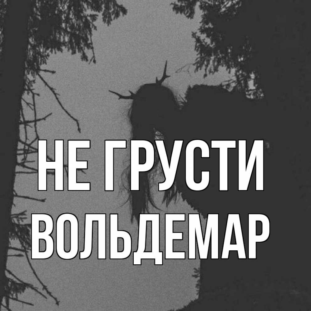 Открытка на каждый день с именем, Вольдемар Не грусти чудище лесное Прикольная открытка с пожеланием онлайн скачать бесплатно 
