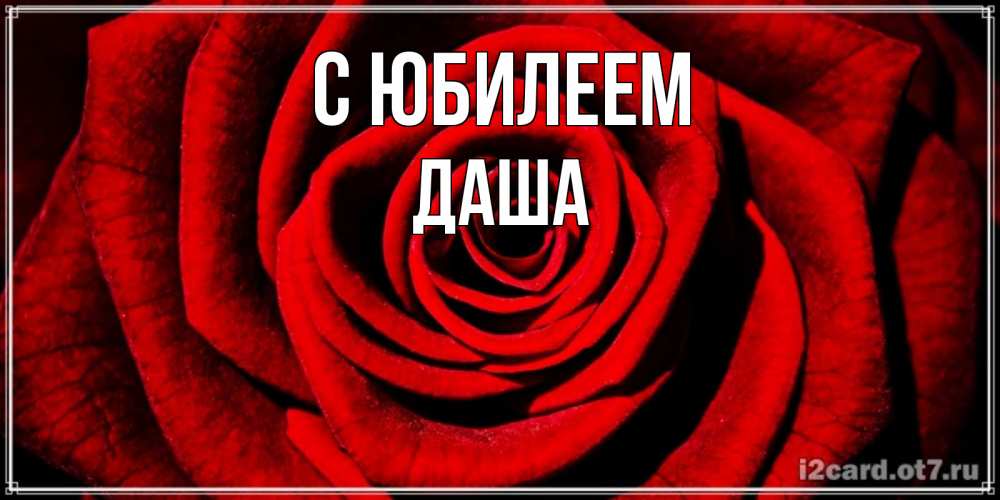 Открытка на каждый день с именем, Даша С юбилеем алая роза Прикольная открытка с пожеланием онлайн скачать бесплатно 