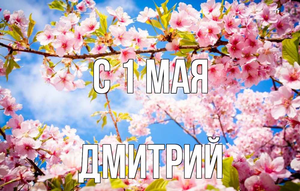 Открытка на каждый день с именем, Дмитрий С 1 мая С 1 мая Прикольная открытка с пожеланием онлайн скачать бесплатно 