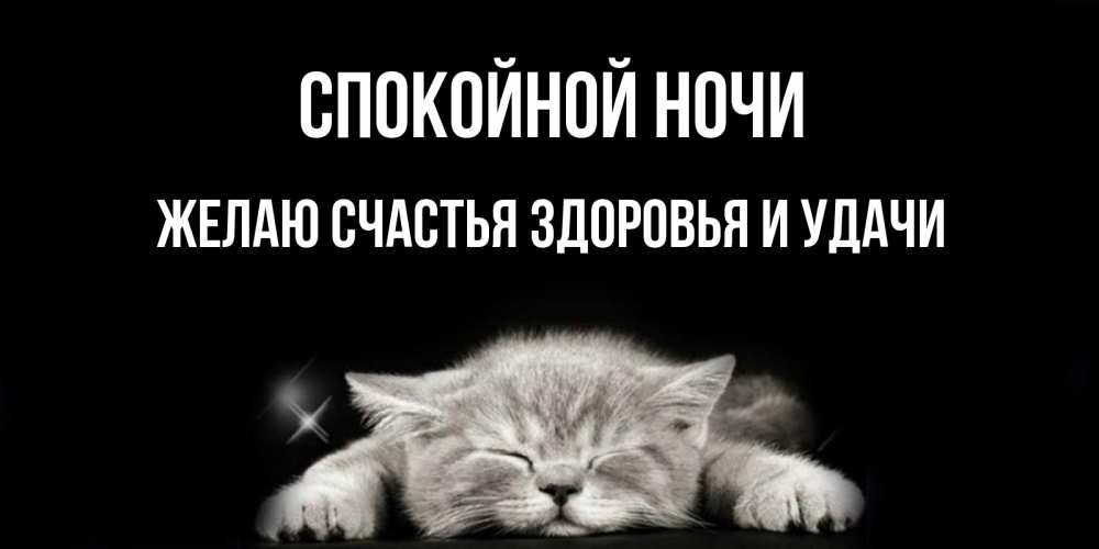 Открытка на каждый день с именем, ЖЕЛАЮ-СЧАСТЬЯ-ЗДОРОВЬЯ-И-УДАЧИ Спокойной ночи спящий котик Прикольная открытка с пожеланием онлайн скачать бесплатно 