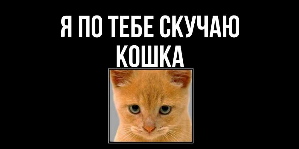 Открытка на каждый день с именем, Кошка Я по тебе скучаю открытки рыжий котенок скучает по тебе Прикольная открытка с пожеланием онлайн скачать бесплатно 