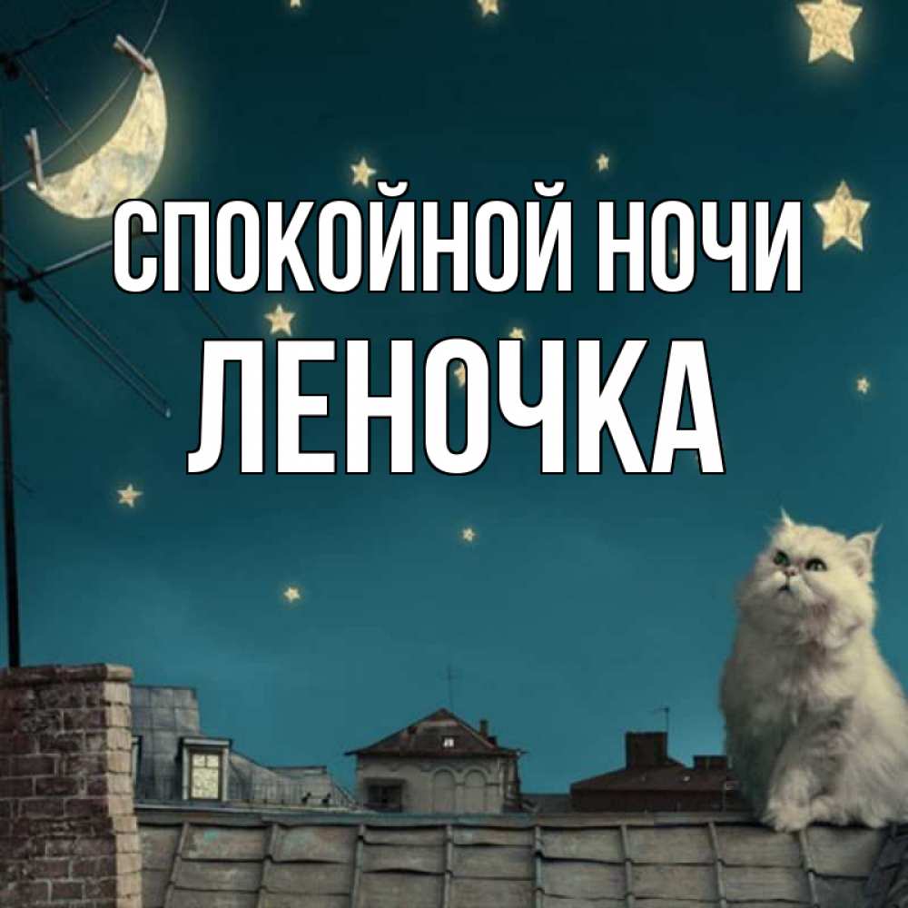 Открытка на каждый день с именем, ЛЕНОЧКА Спокойной ночи белый кот сидит на крыше Прикольная открытка с пожеланием онлайн скачать бесплатно 