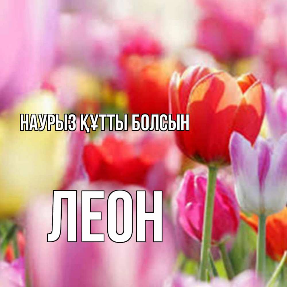 Открытка на каждый день с именем, Леон Наурыз құтты болсын на наурыз  2 Прикольная открытка с пожеланием онлайн скачать бесплатно 