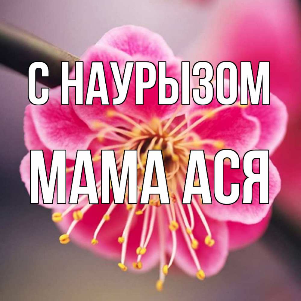 Открытка на каждый день с именем, Мама-Ася С наурызом цветы Прикольная открытка с пожеланием онлайн скачать бесплатно 