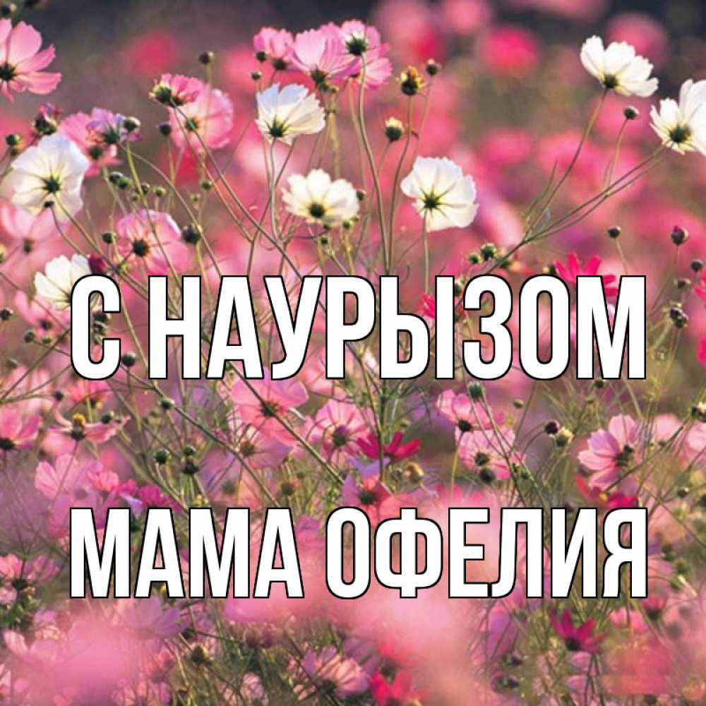 Открытка на каждый день с именем, Мама-Офелия С наурызом красиво 1 Прикольная открытка с пожеланием онлайн скачать бесплатно 