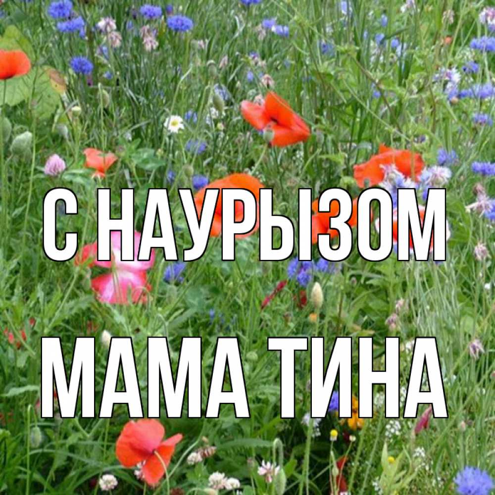 Открытка на каждый день с именем, Мама-Тина С наурызом праздник весны наурыз супер открытка Прикольная открытка с пожеланием онлайн скачать бесплатно 