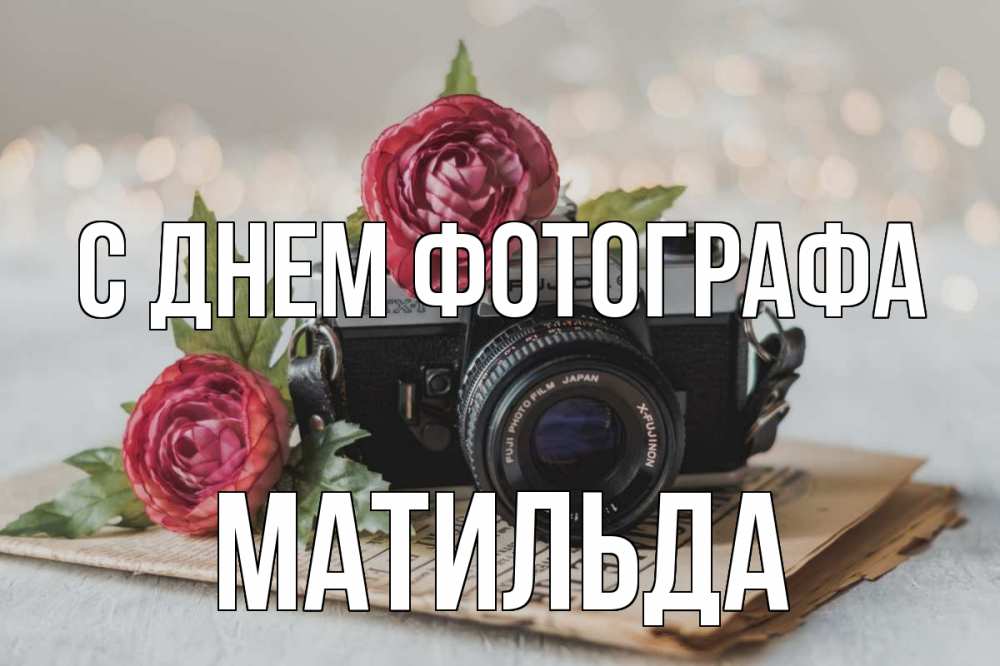 Открытка на каждый день с именем, Матильда С днем фотографа с днем фотографа Прикольная открытка с пожеланием онлайн скачать бесплатно 