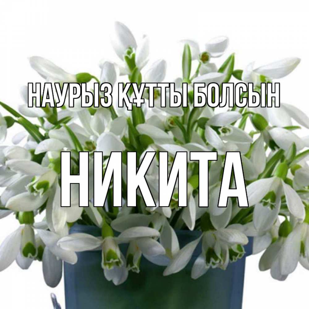 Открытка на каждый день с именем, Никита Наурыз құтты болсын цветы к наурызу Прикольная открытка с пожеланием онлайн скачать бесплатно 