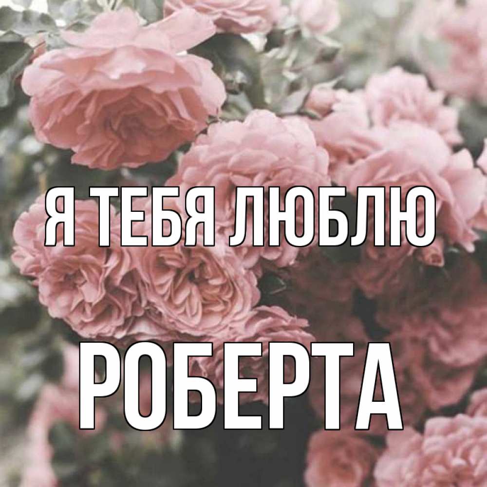Открытка на каждый день с именем, Роберта Я тебя люблю розы 3 Прикольная открытка с пожеланием онлайн скачать бесплатно 