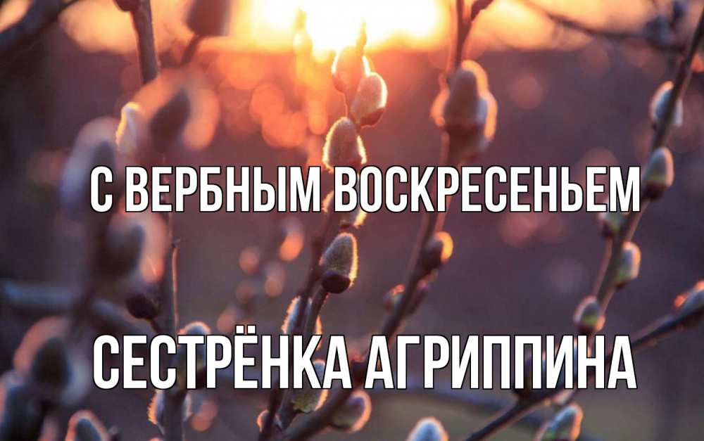 Открытка на каждый день с именем, Сестрёнка-Агриппина С вербным воскресеньем верба Прикольная открытка с пожеланием онлайн скачать бесплатно 
