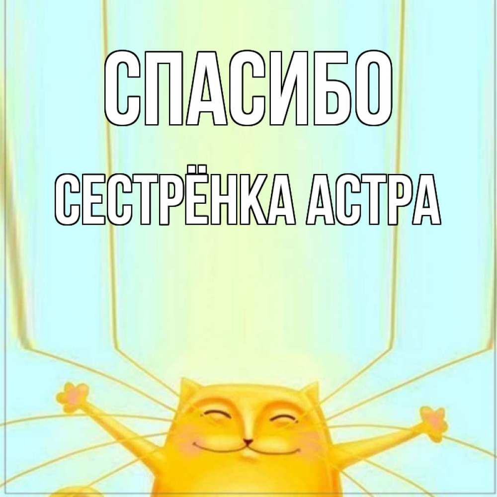 Открытка на каждый день с именем, Сестрёнка-Астра Спасибо кот с усами благодарит Прикольная открытка с пожеланием онлайн скачать бесплатно 
