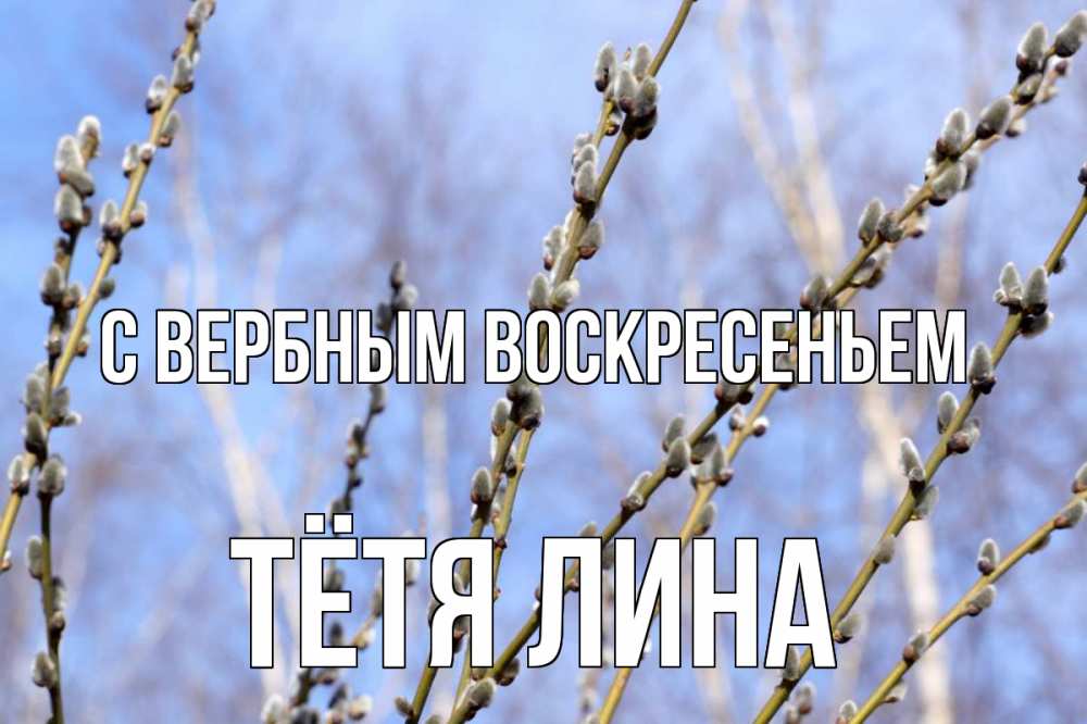 Открытка на каждый день с именем, Тётя-Лина С вербным воскресеньем верба Прикольная открытка с пожеланием онлайн скачать бесплатно 