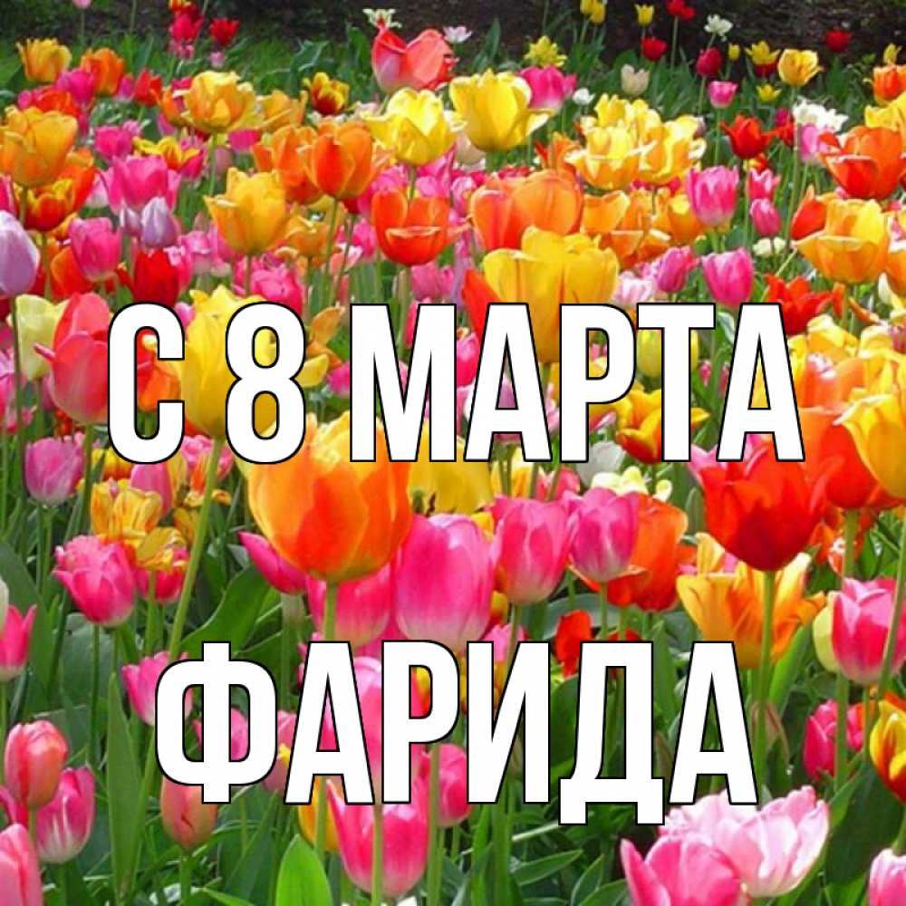 Открытка на каждый день с именем, Фарида С 8 МАРТА на международный женский день Прикольная открытка с пожеланием онлайн скачать бесплатно 