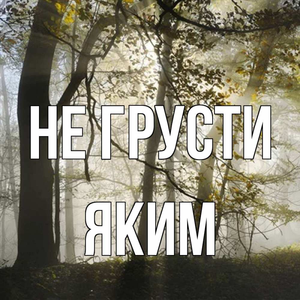 Открытка на каждый день с именем, Яким Не грусти лес и свет Прикольная открытка с пожеланием онлайн скачать бесплатно 