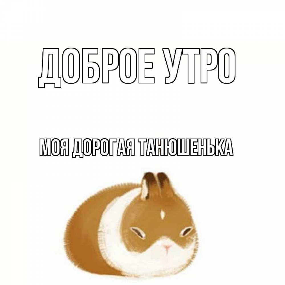 Открытка на каждый день с именем, моя-дорогая-Танюшенька Доброе утро хорошего утречка Прикольная открытка с пожеланием онлайн скачать бесплатно 