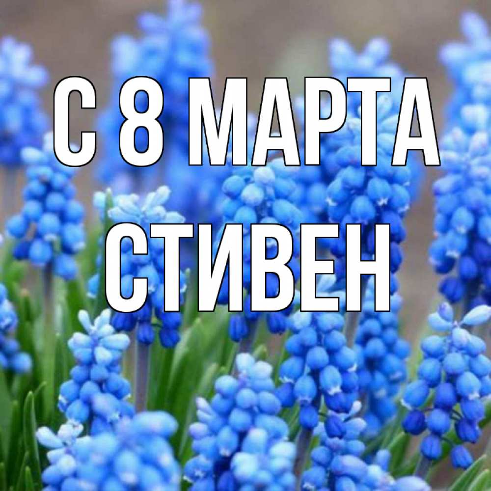 Открытка на каждый день с именем, Стивен С 8 МАРТА Поздравительная открытка для женщин с цветами на праздничную дату Прикольная открытка с пожеланием онлайн скачать бесплатно 