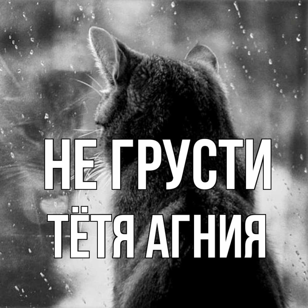 Открытка на каждый день с именем, Тётя-Агния Не грусти отражение кота 1 Прикольная открытка с пожеланием онлайн скачать бесплатно 