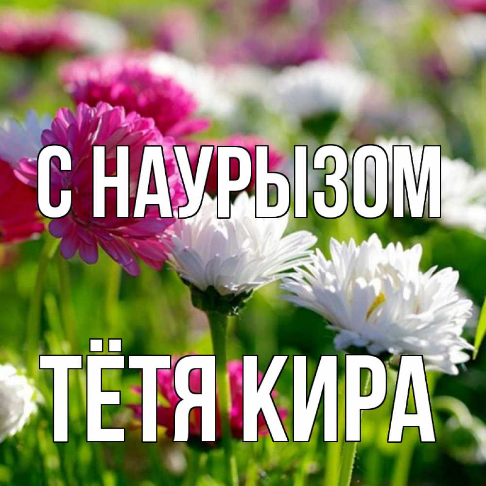 Открытка на каждый день с именем, Тётя-Кира С наурызом праздник весны наурыз красота Прикольная открытка с пожеланием онлайн скачать бесплатно 