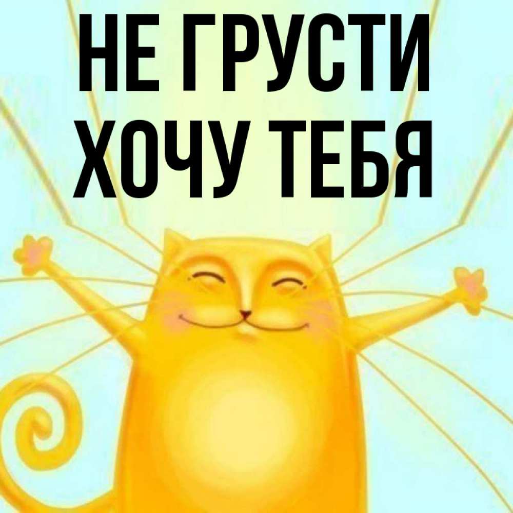 Открытка на каждый день с именем, Хочу-тебя Не грусти обнимашки усатые Прикольная открытка с пожеланием онлайн скачать бесплатно 