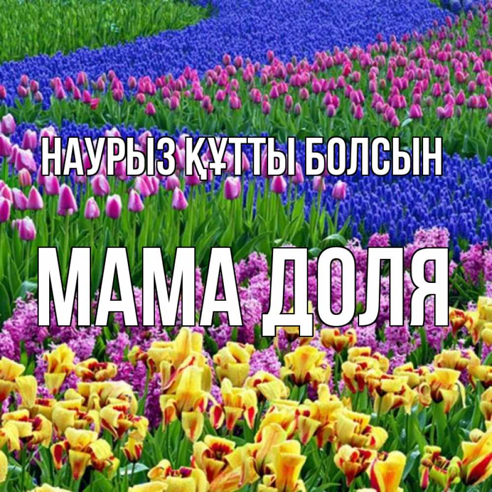 Открытка на каждый день с именем, Мама-Доля Наурыз құтты болсын цветы Прикольная открытка с пожеланием онлайн скачать бесплатно 