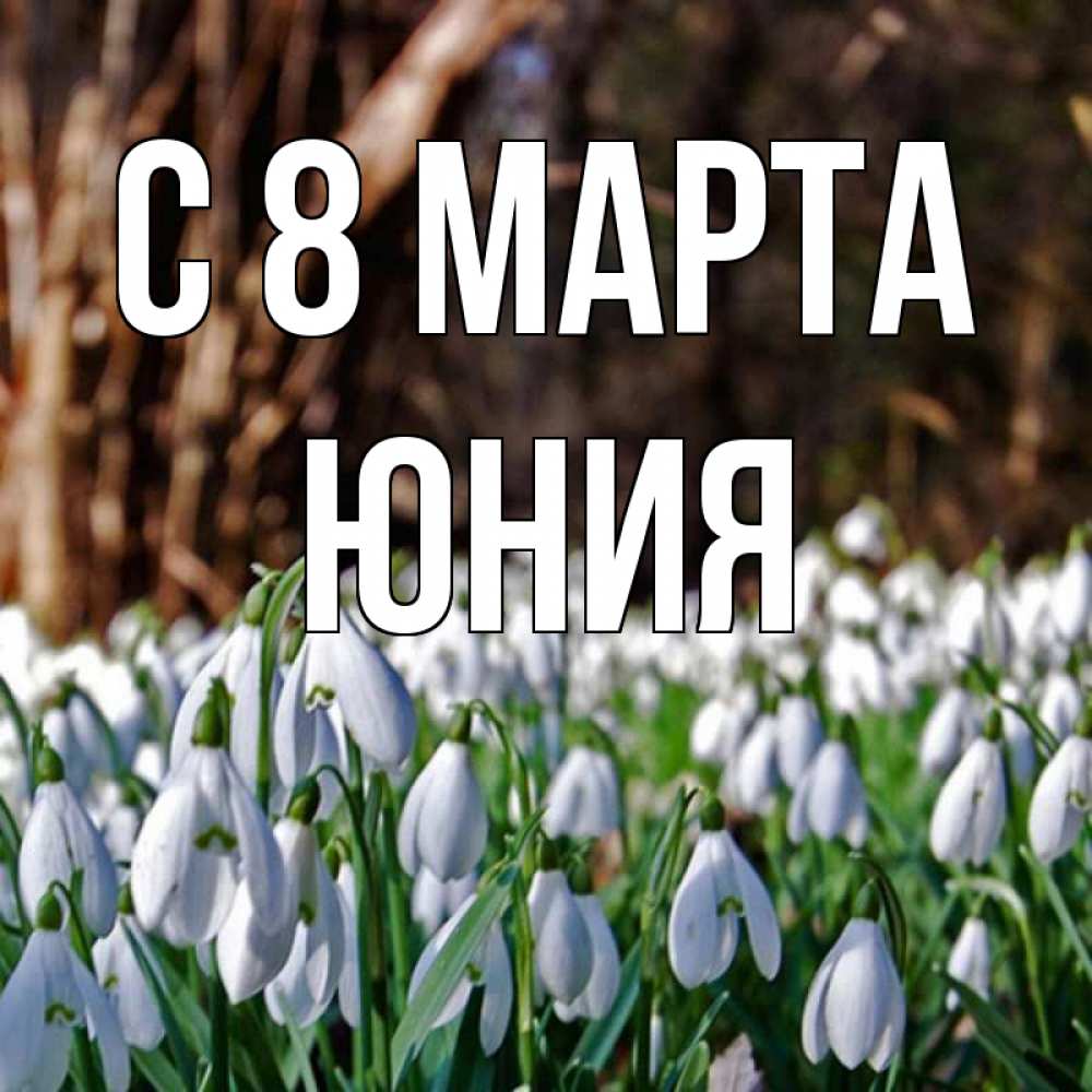 Открытка на каждый день с именем, Юния С 8 МАРТА с подснежниками 1 Прикольная открытка с пожеланием онлайн скачать бесплатно 