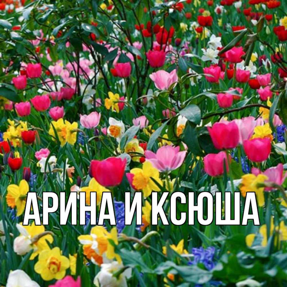 Открытка на каждый день с именем, Арина-и-Ксюша Главная с наурызом поздравления для женщины Прикольная открытка с пожеланием онлайн скачать бесплатно 